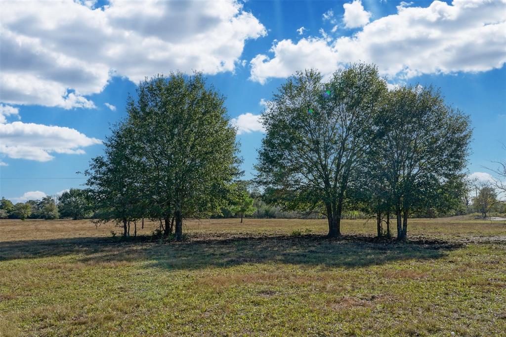 Lot 10 County Rd 229, Bedias, Texas image 1