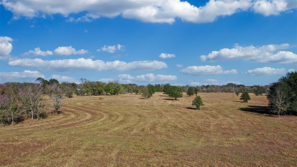 Lot 10 County Rd 229, Bedias, Texas image 4