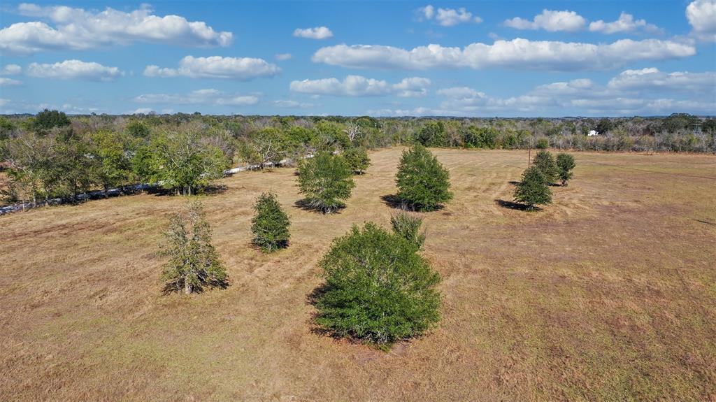 Lot 10 County Rd 229, Bedias, Texas image 5