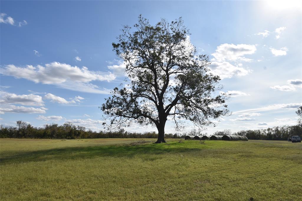 201 County Road 224 Rd, Wharton, Texas image 7