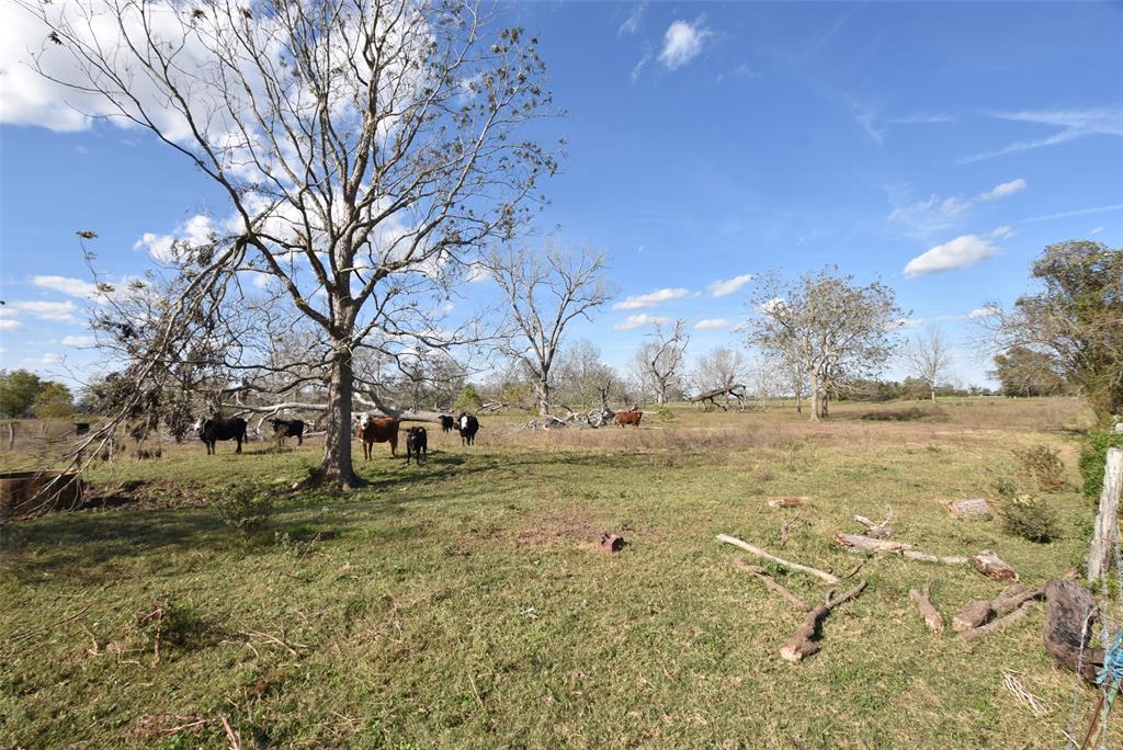 201 County Road 224 Rd, Wharton, Texas image 9