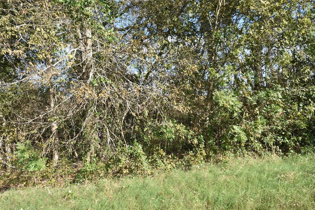 201 County Road 224 Rd, Wharton, Texas image 32