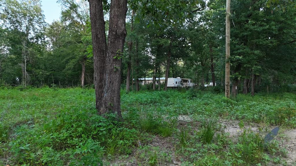 211 Panther Lane