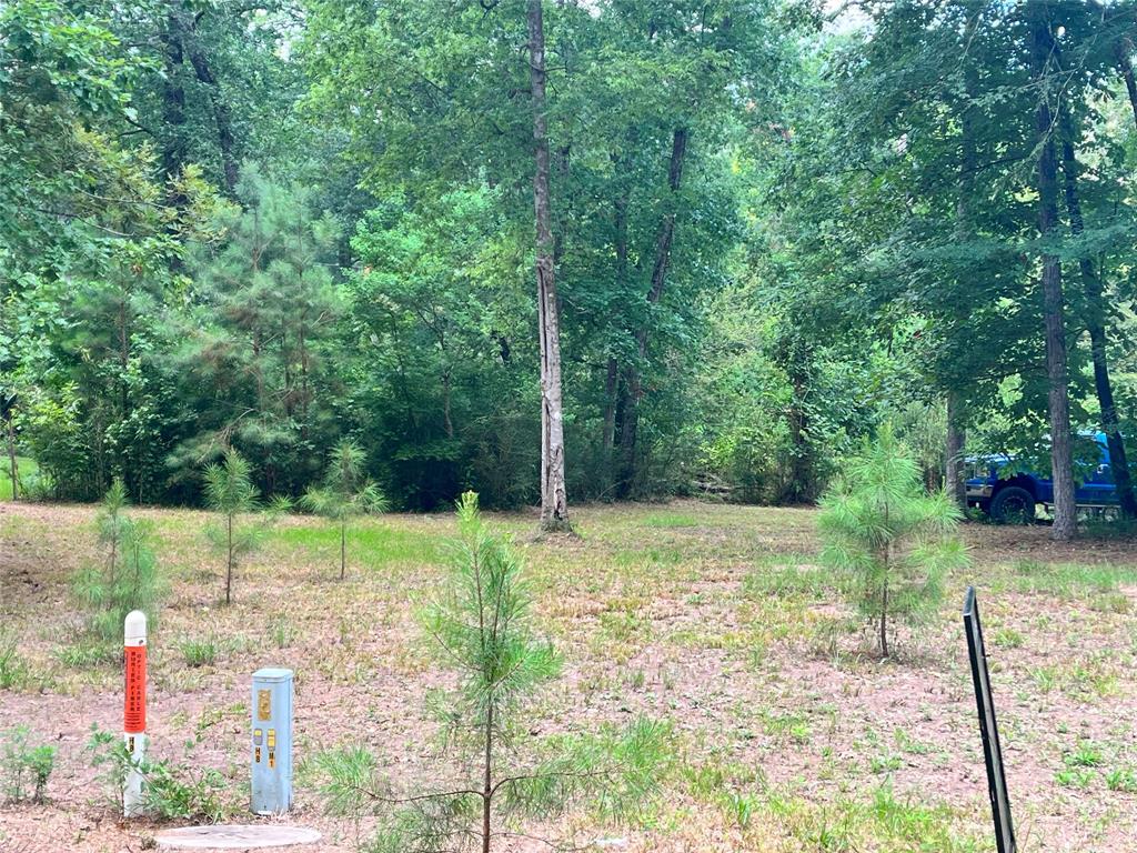 TBD Little Creek Drive, Coldspring, Texas image 7