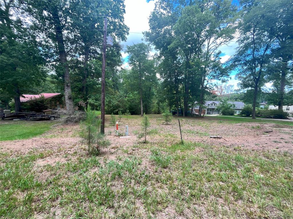 TBD Little Creek Drive, Coldspring, Texas image 3