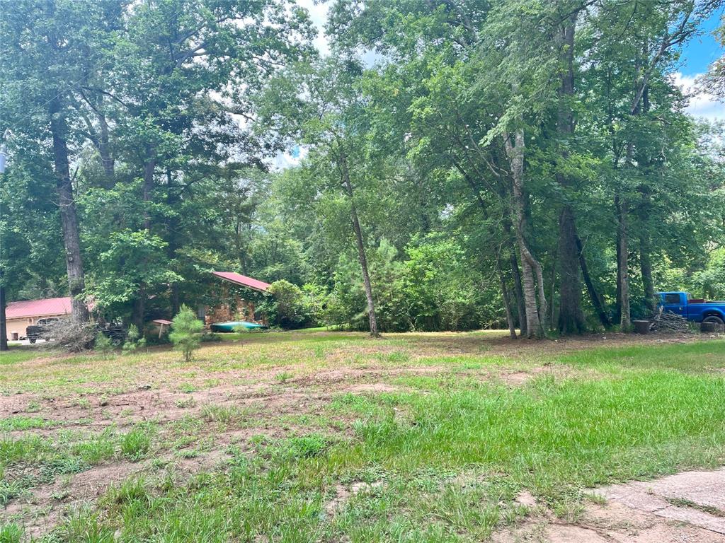 TBD Little Creek Drive, Coldspring, Texas image 4