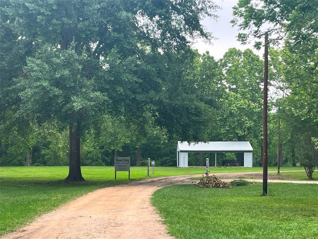 TBD Little Creek Drive, Coldspring, Texas image 11