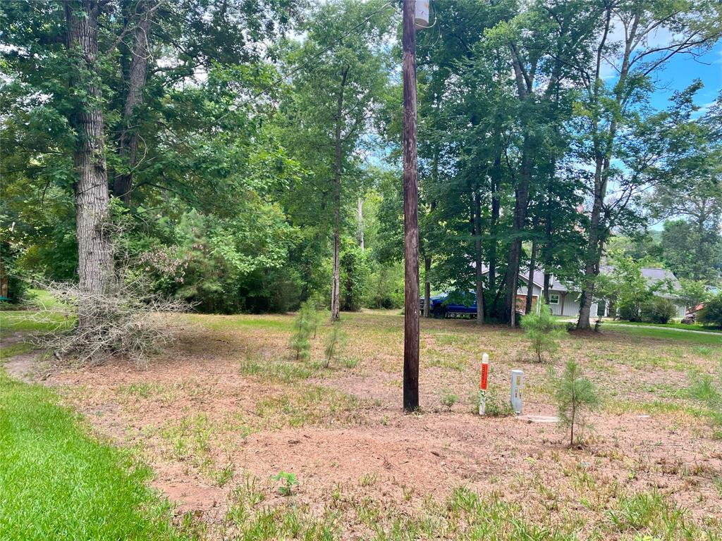 TBD Little Creek Drive, Coldspring, Texas image 5