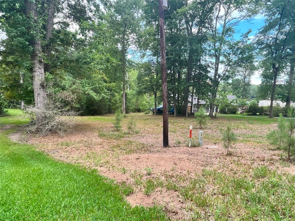 TBD Little Creek Drive, Coldspring, Texas image 1
