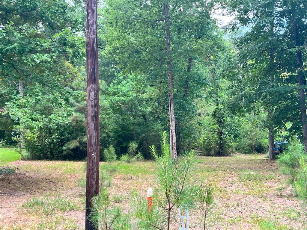 TBD Little Creek Drive, Coldspring, Texas image 2