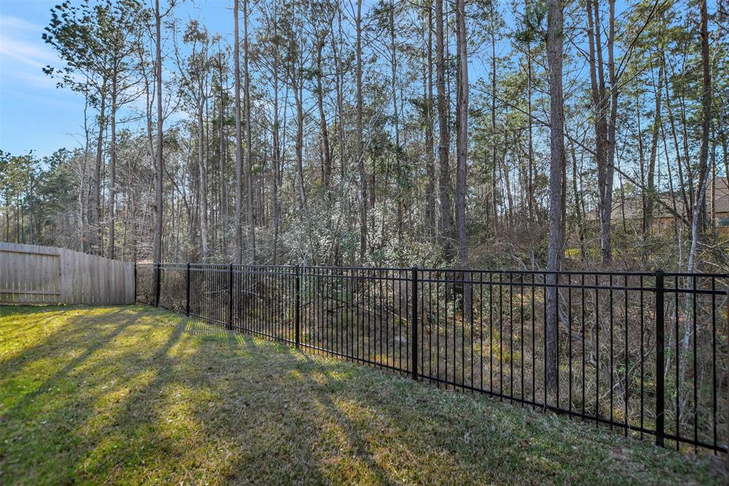 278 Sky Top Drive, Montgomery, Texas image 48