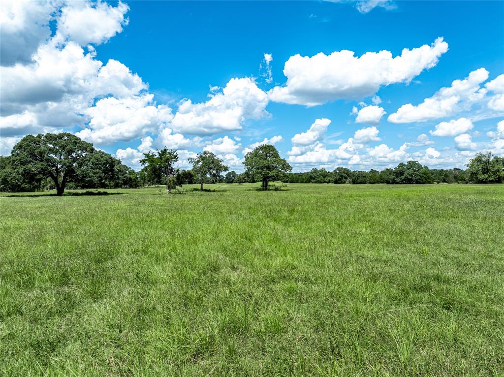 0000 State Highway 71 W, Columbus, Texas image 14