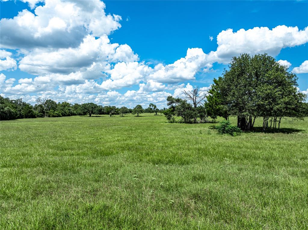 0000 State Highway 71 W, Columbus, Texas image 12