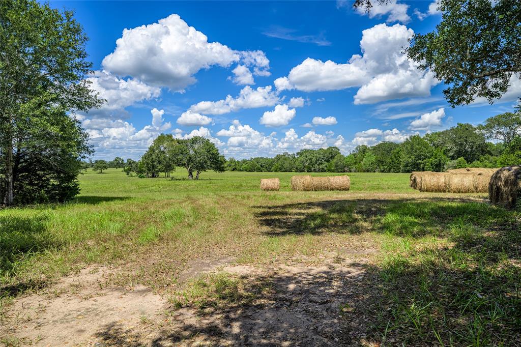 0000 State Highway 71 W, Columbus, Texas image 11