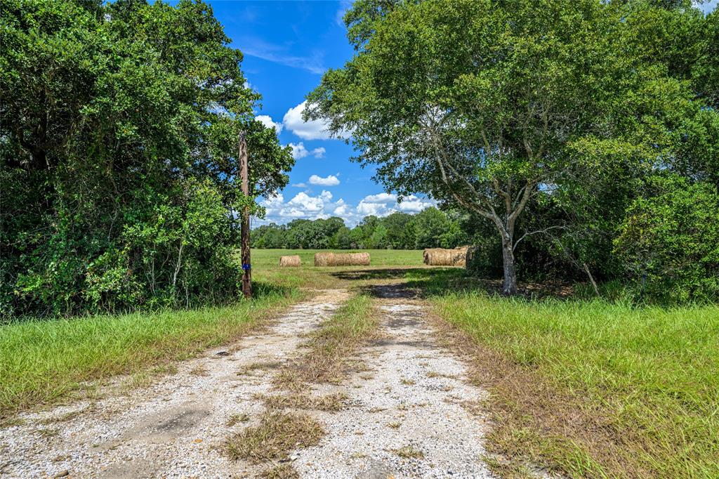 0000 State Highway 71 W, Columbus, Texas image 10