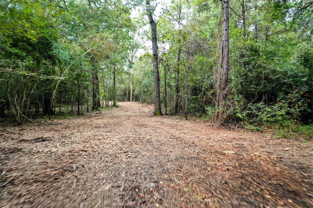 90.3 Acres Squirrel Tree Rd, Shepherd, Texas image 13