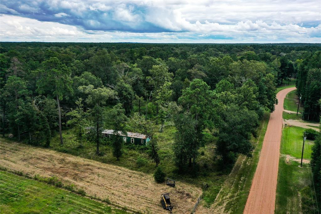 90.3 Acres Squirrel Tree Rd, Shepherd, Texas image 16