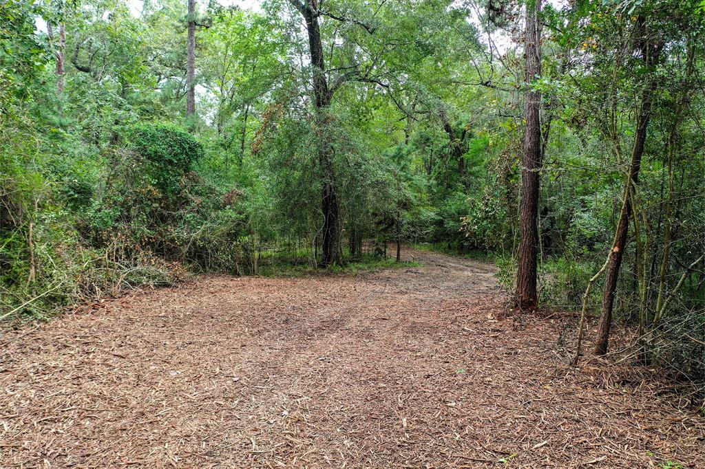 90.3 Acres Squirrel Tree Rd, Shepherd, Texas image 14