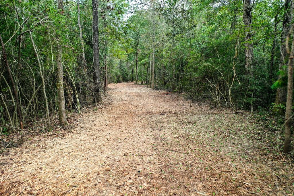 90.3 Acres Squirrel Tree Rd, Shepherd, Texas image 7