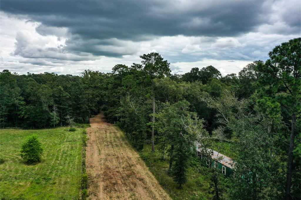 90.3 Acres Squirrel Tree Rd, Shepherd, Texas image 17