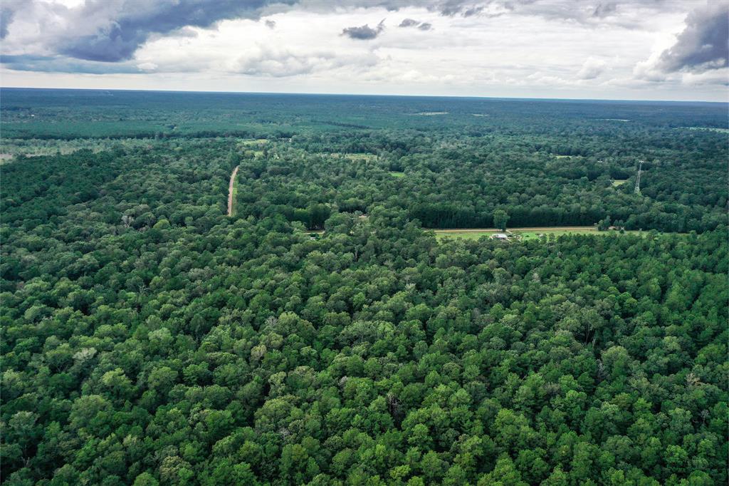 90.3 Acres Squirrel Tree Rd, Shepherd, Texas image 8