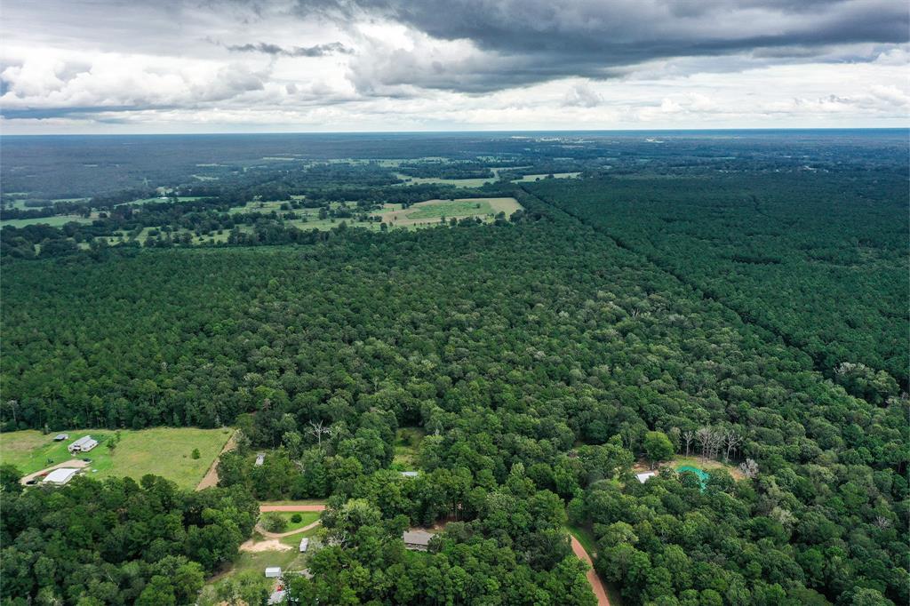 90.3 Acres Squirrel Tree Rd, Shepherd, Texas image 1