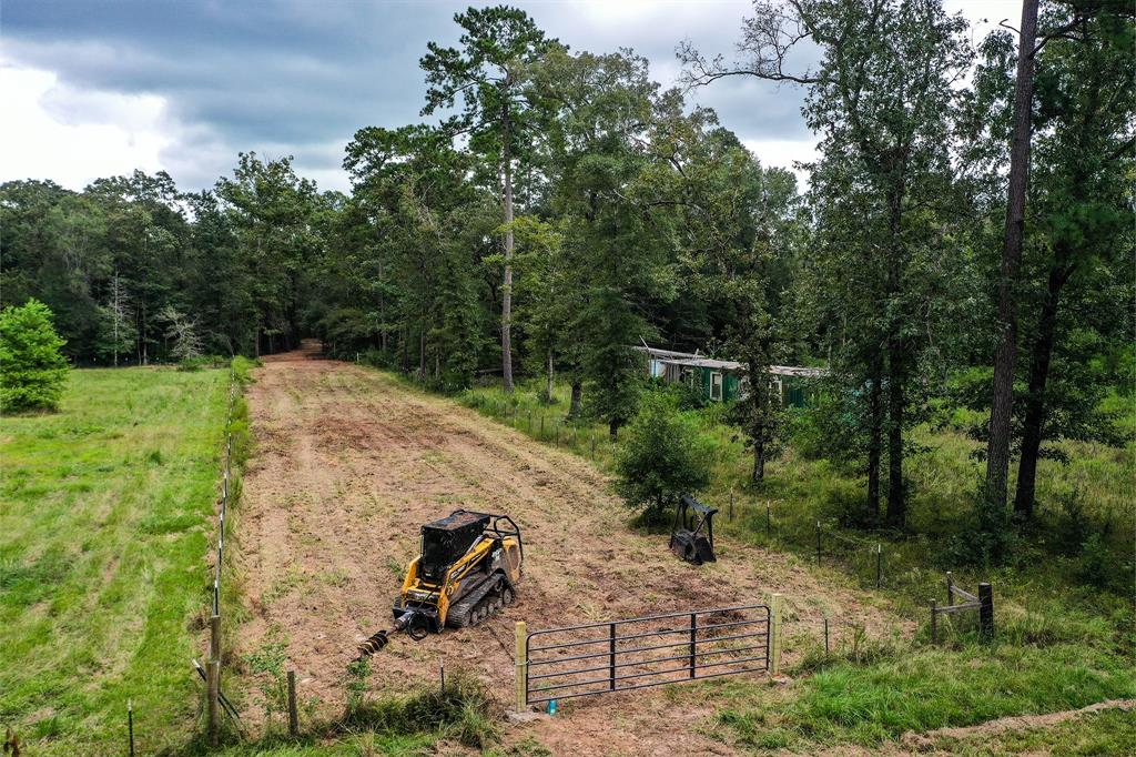 90.3 Acres Squirrel Tree Rd, Shepherd, Texas image 3