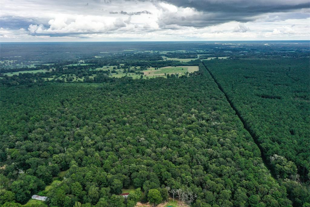 90.3 Acres Squirrel Tree Rd, Shepherd, Texas image 11