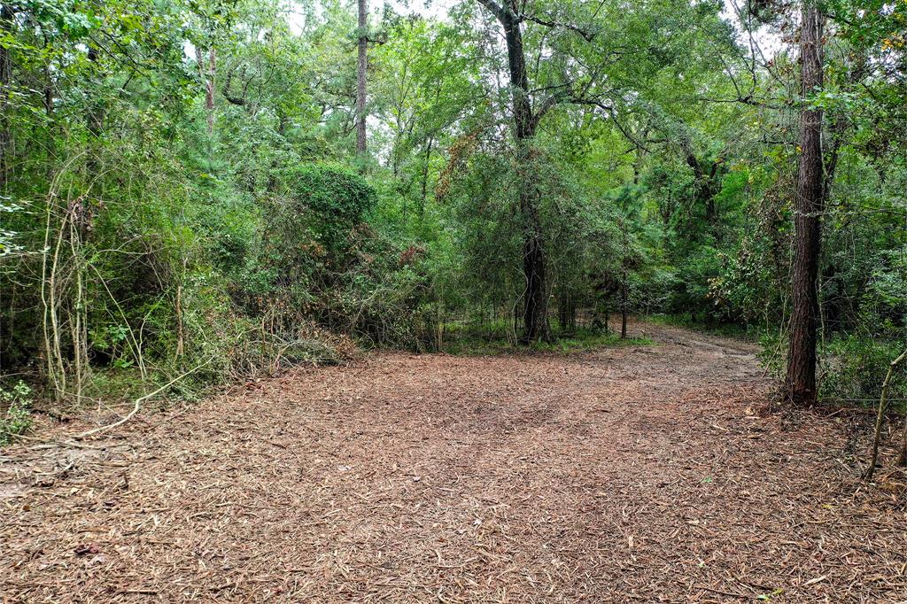 90.3 Acres Squirrel Tree Rd, Shepherd, Texas image 15