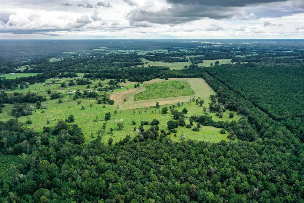 90.3 Acres Squirrel Tree Rd, Shepherd, Texas image 12