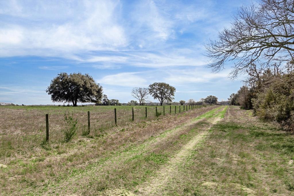 16204-2 Newberg, Cat Spring, Texas image 24