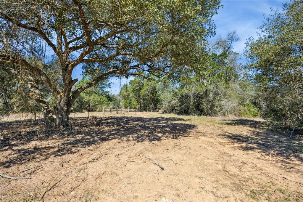 16204-2 Newberg, Cat Spring, Texas image 18
