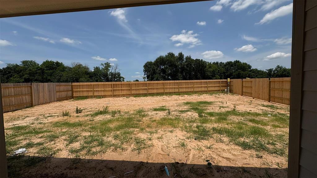 17522 Tulip Willow Way, Hockley, Texas image 32