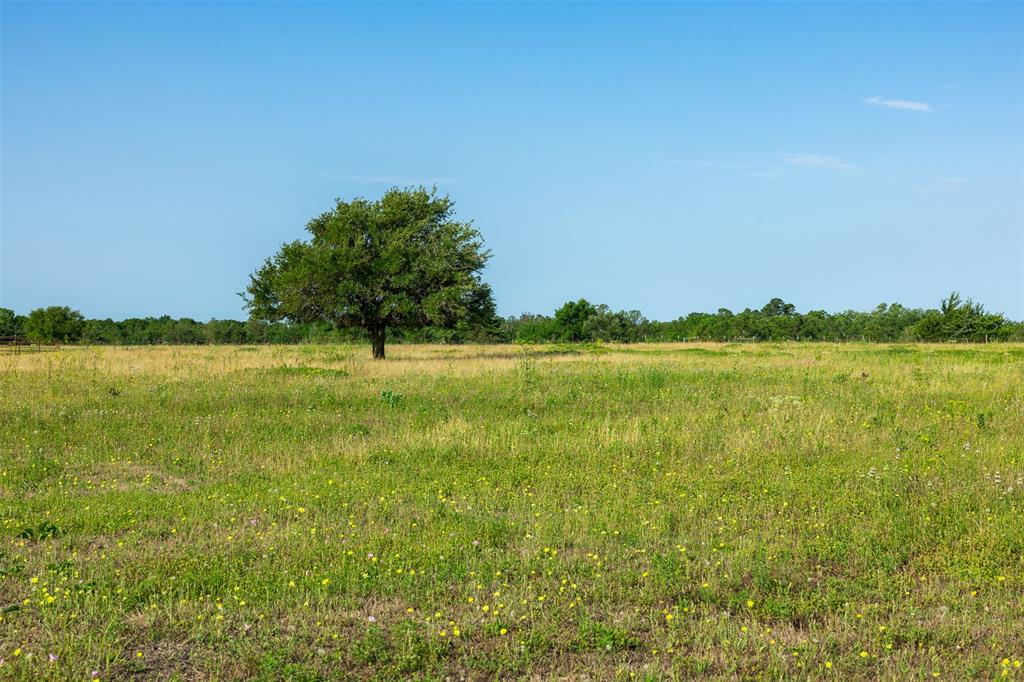 7196 County Road 208, Navasota, Texas image 8