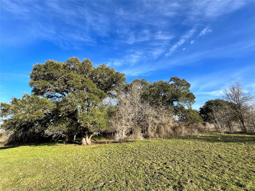 10021 Oil Field Rd