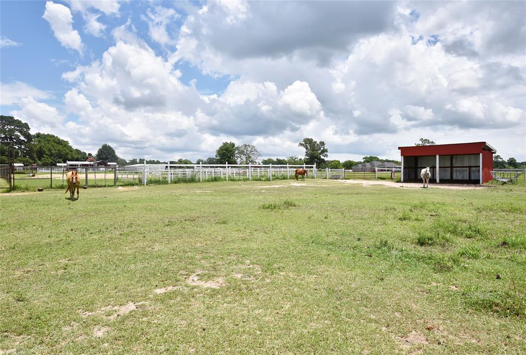 1140 Jones Road Road, New Waverly, Texas image 26