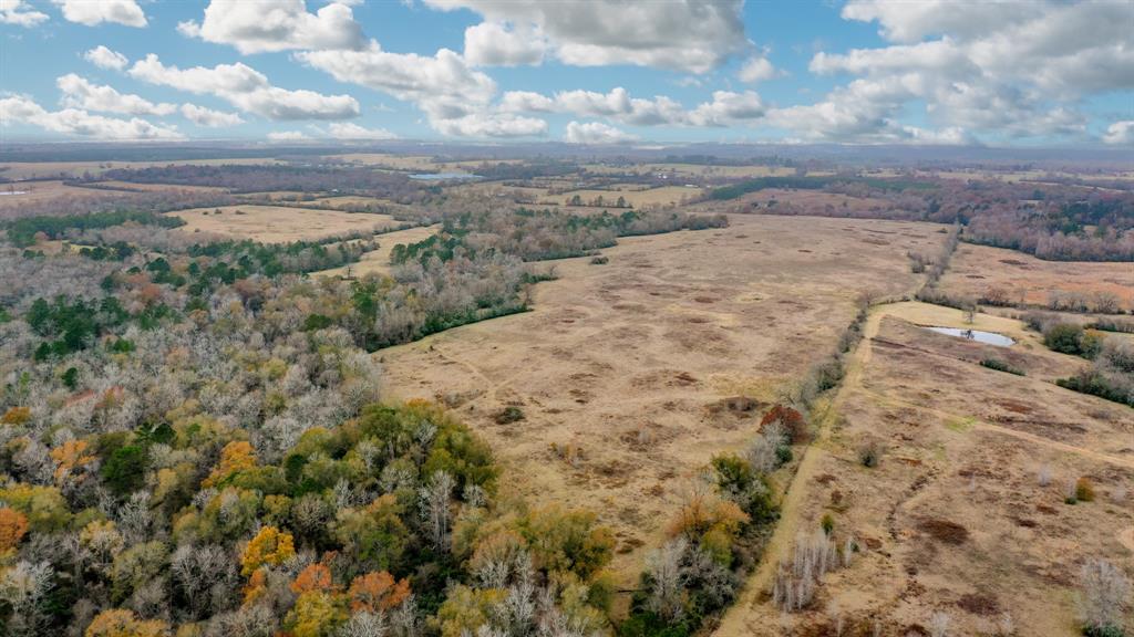 50AC County Road 108, Midway, Texas image 17