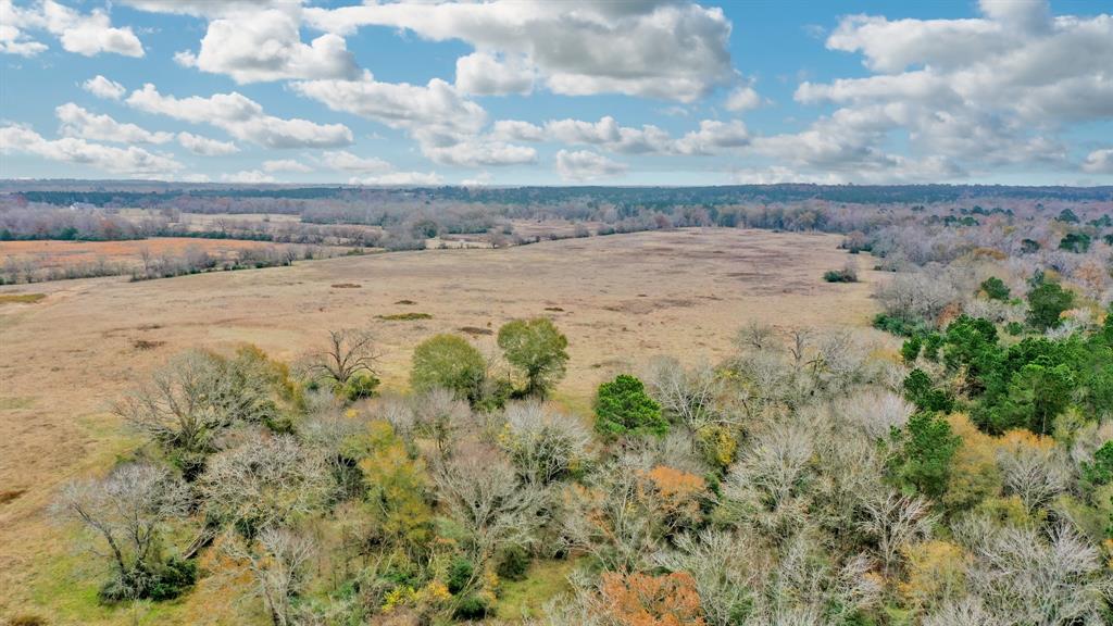 50AC County Road 108, Midway, Texas image 6