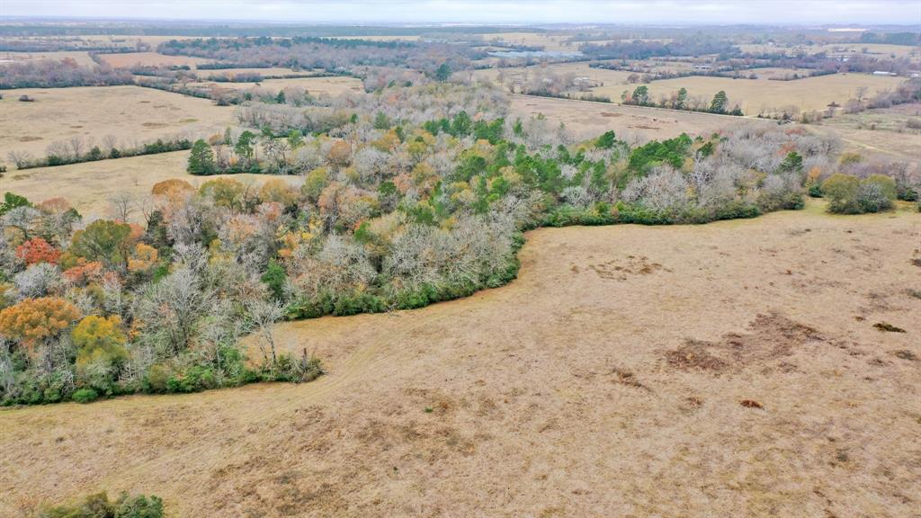 50AC County Road 108, Midway, Texas image 9