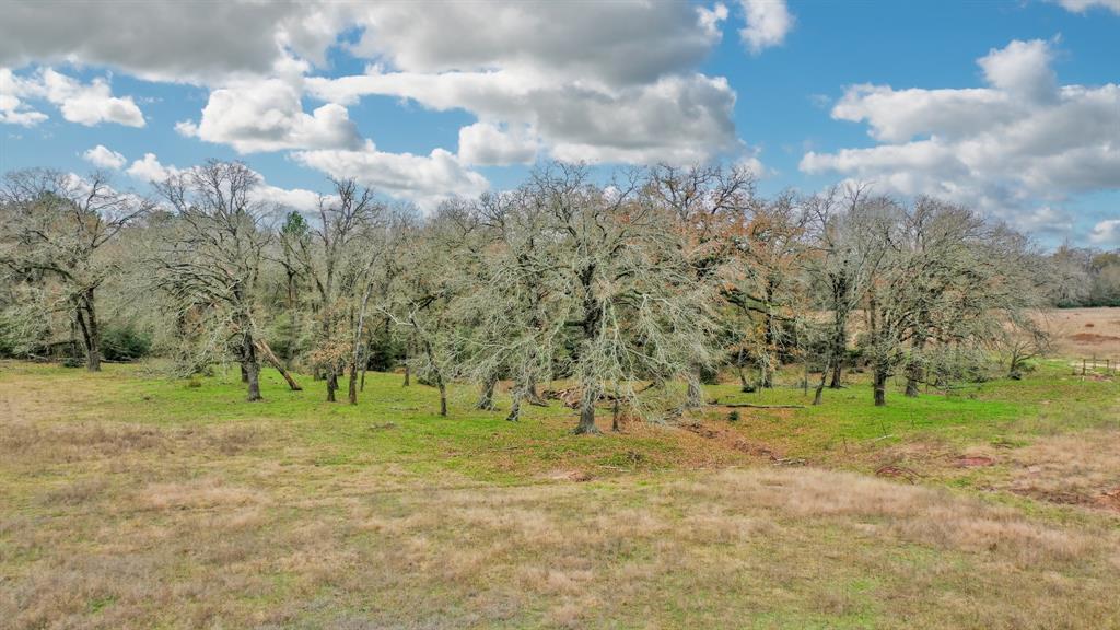 50AC County Road 108, Midway, Texas image 5