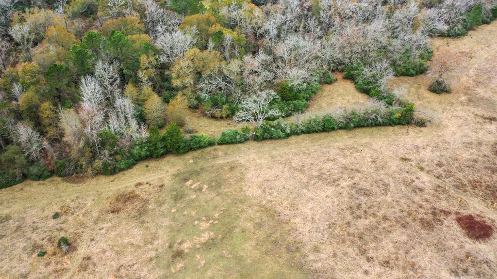 50AC County Road 108, Midway, Texas image 10