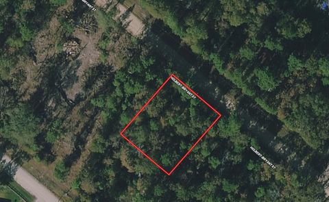 Vacant Land For Sale - LOT 172 Halbert Bryant Street<br/> Livingston, TX 77351