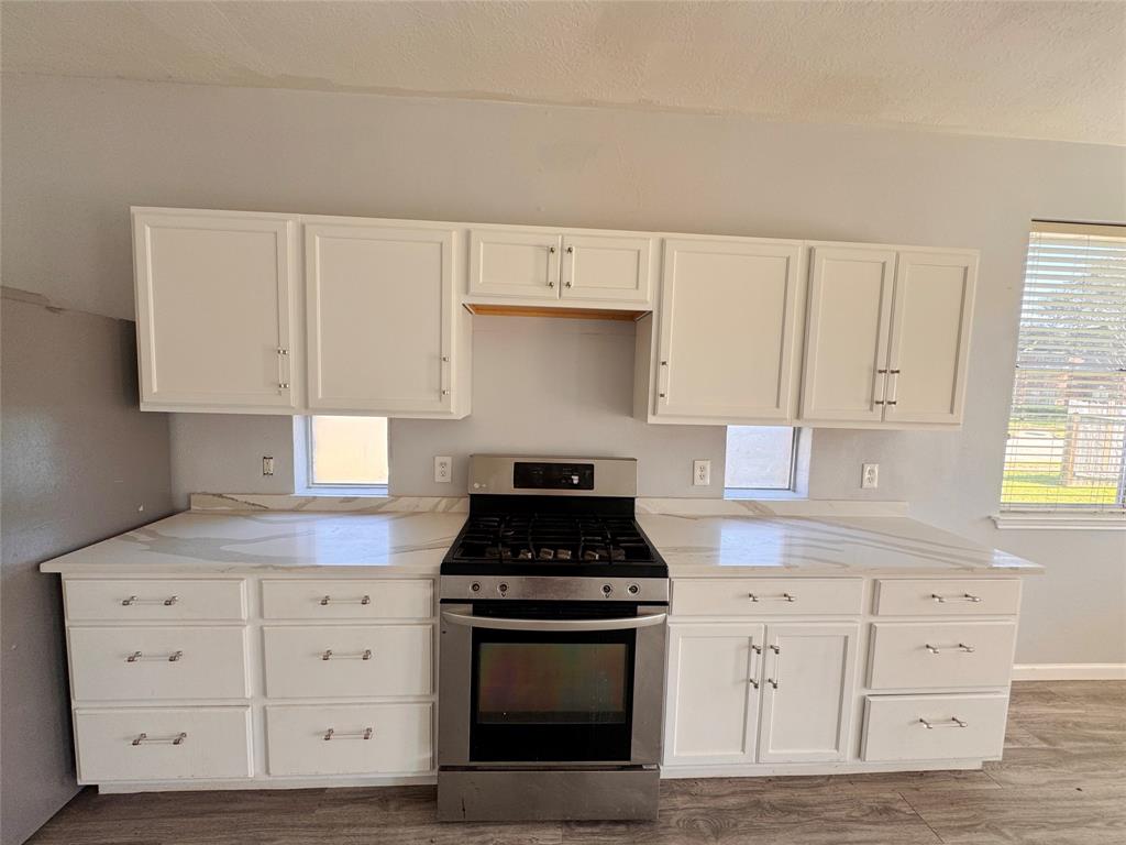 1803 Shadow Haven Court, Fresno, Texas image 10
