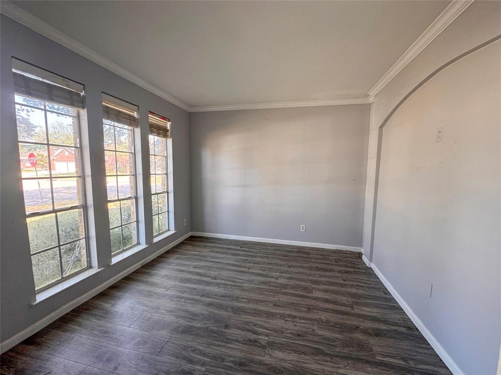 1803 Shadow Haven Court, Fresno, Texas image 24