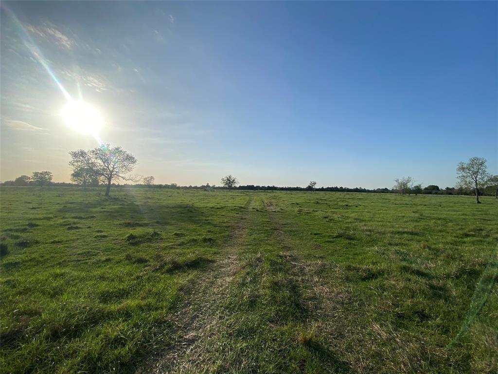 1045 Anna Ln St, Sealy, Texas image 4