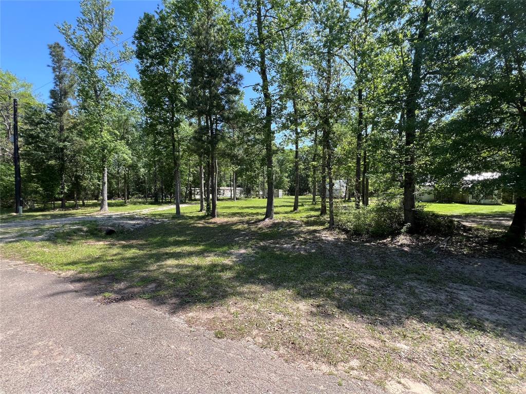 27114 N Heaton Lane, Magnolia, Texas image 4