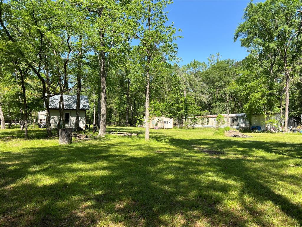 27114 N Heaton Lane, Magnolia, Texas image 3