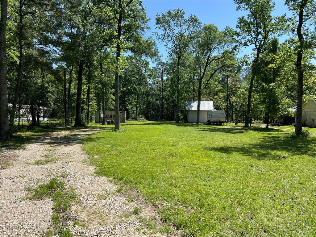 27114 N Heaton Lane, Magnolia, Texas image 6