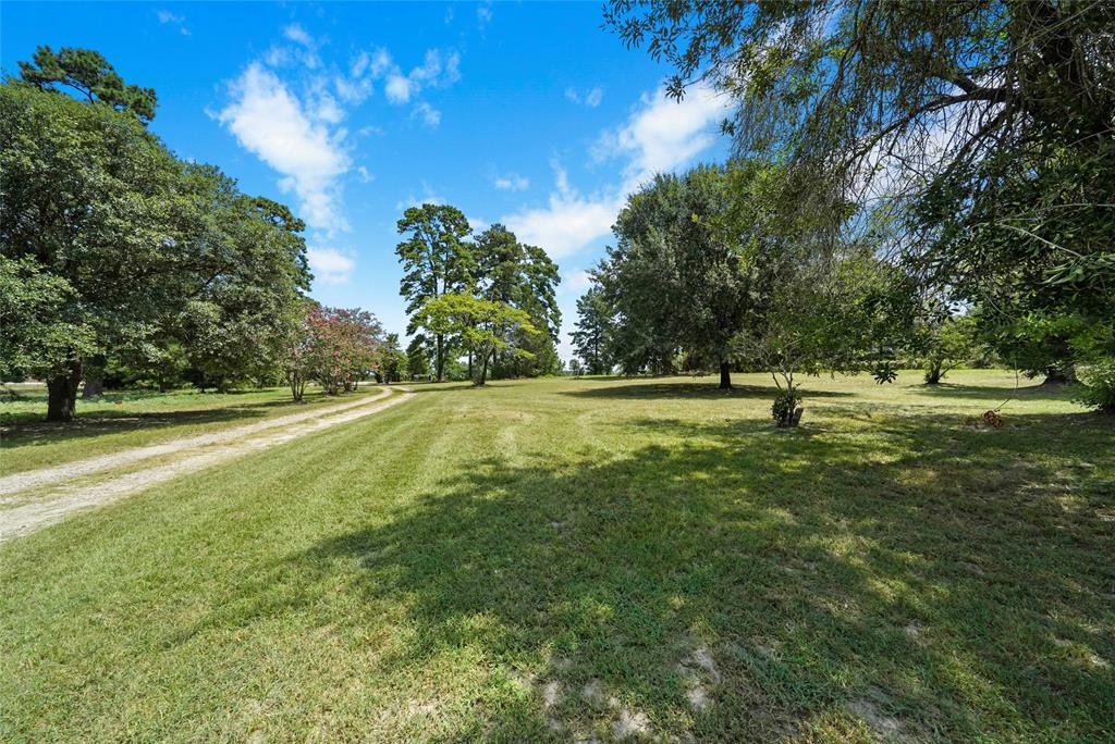 19493 Keenan Cutoff Road, Montgomery, Texas image 9