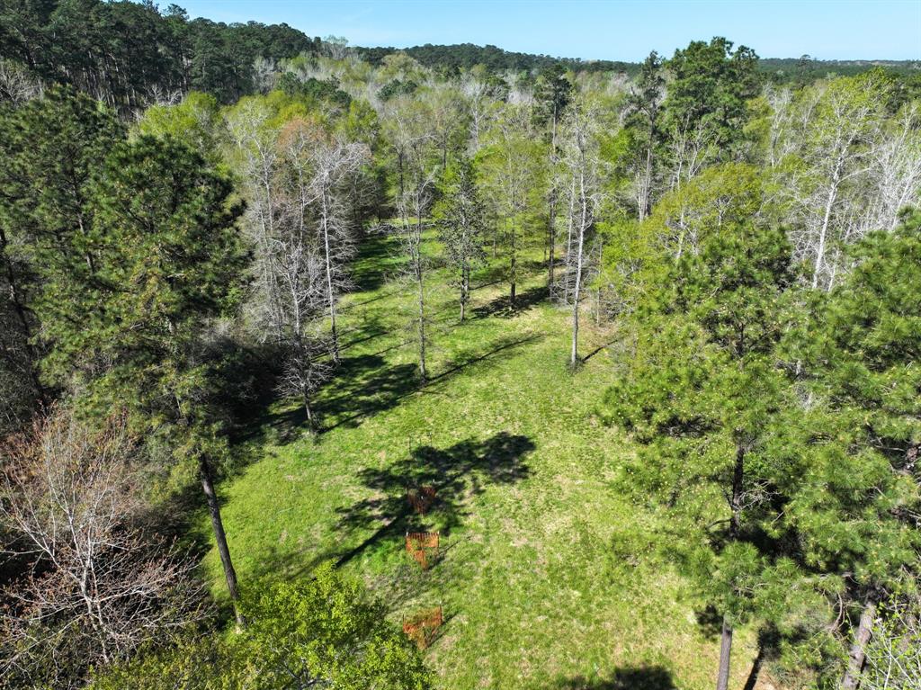 Ripple Creek Dr, Coldspring, Texas image 8